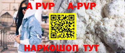 индика Кингисепп
